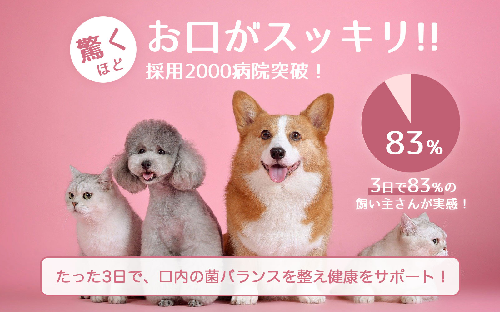 公式 プロバイオd 犬 猫の口臭ケアサプリ Kinber Shop 口腔善玉菌サプリメント通販サイト Kinber Shop