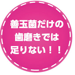 Human Child 口腔善玉菌サプリメント通販サイト Kinber Shop