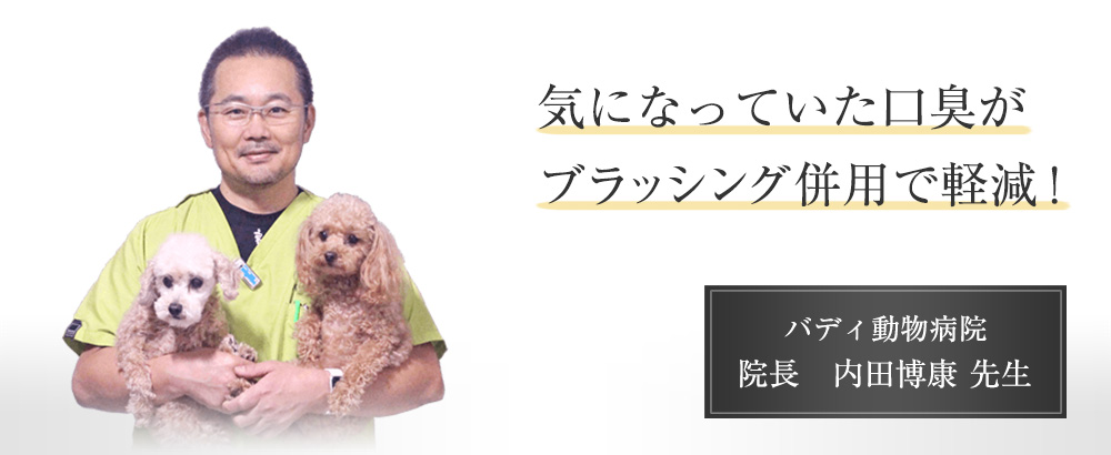 気になっていた口臭がブラッシング併用で軽減! バディ動物病院 院長 内田博康先生