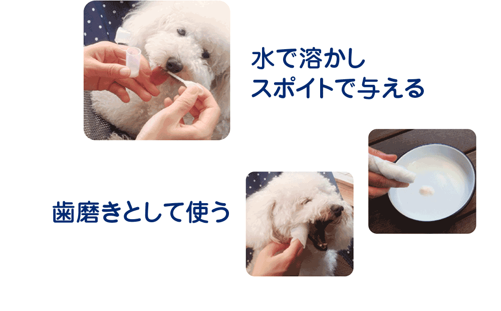 水で溶かしスポイトで与える 歯磨きとして使う