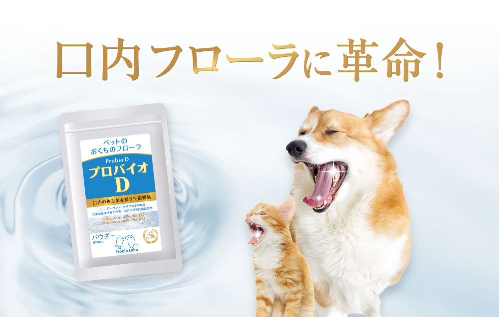 口内フローラに革命!