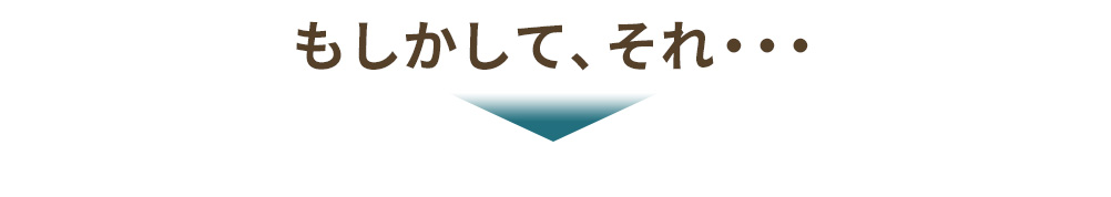 もしかしてそれ・・・