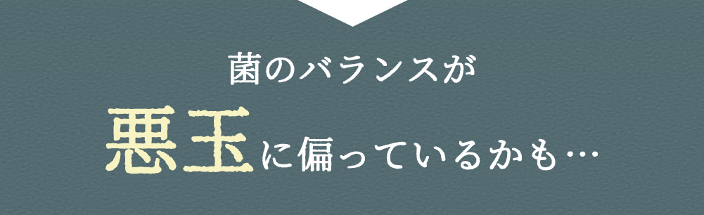 菌のバランスが悪玉に偏っているかも