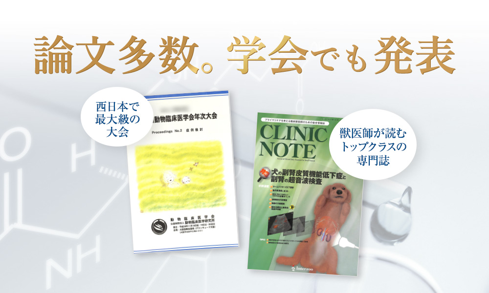論文多数。学会でも発表