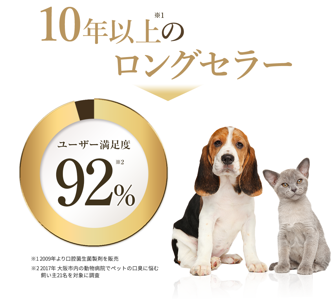 10年以上のロングセラー