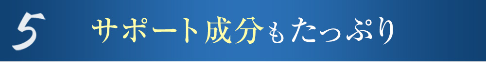 5 サポート成分もたっぷり
