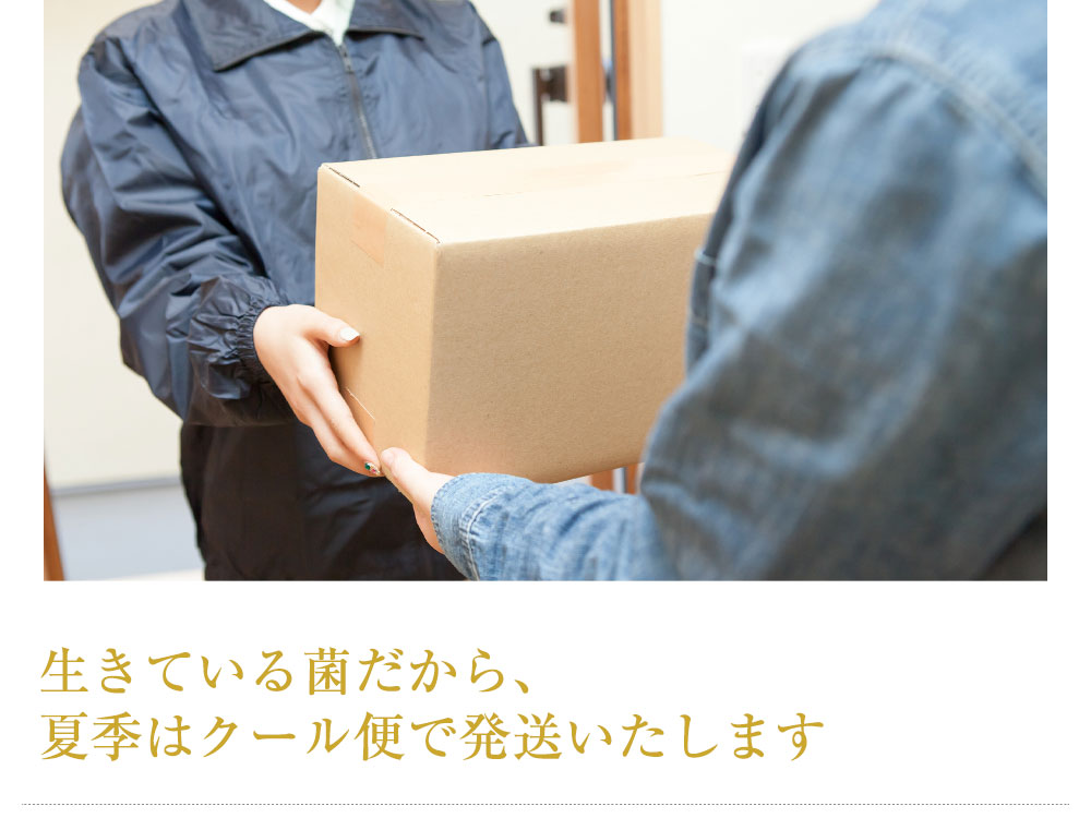 生きている菌だから、夏季はクール便で発送いたします