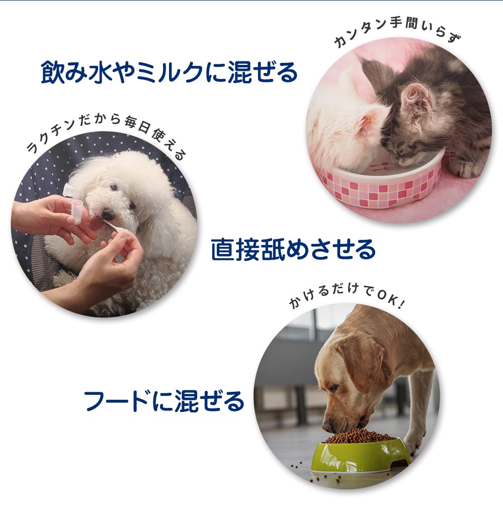 飲み水やミルクに混ぜる 直接舐めさせる フードに混ぜる