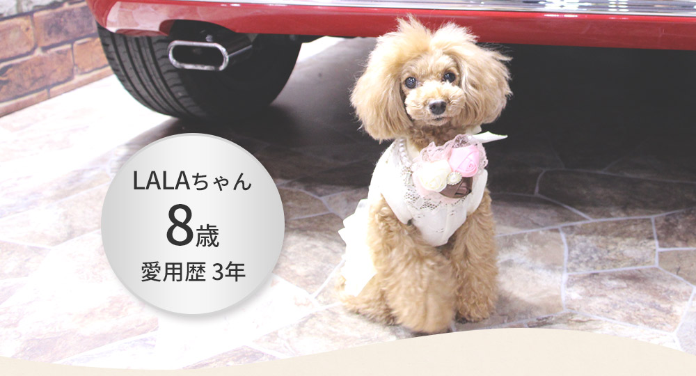 LALAちゃん 8歳 愛用歴 3年