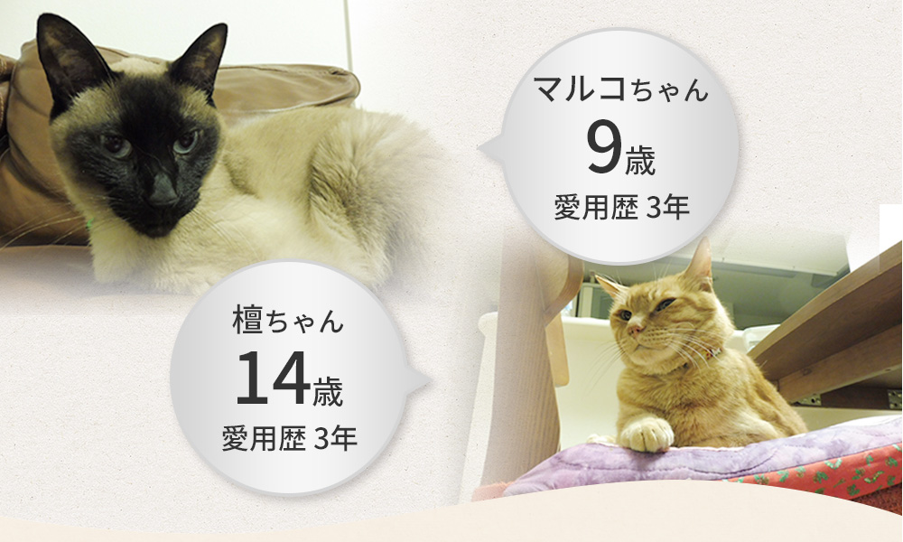 マルコちゃん 9歳 愛用歴 3年 檀ちゃん 14歳 愛用歴 3年