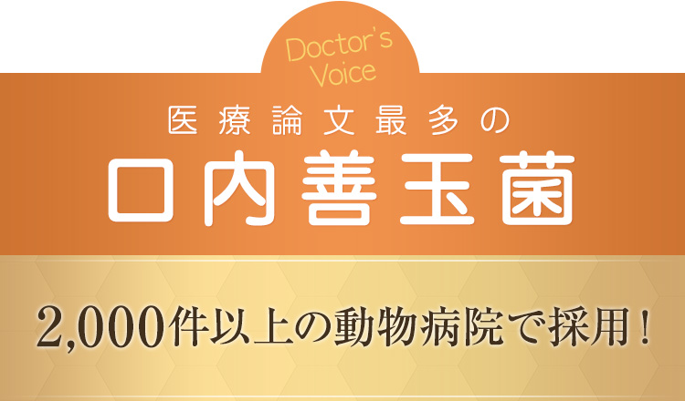 Doctors Voice 医療論文最多の口内善玉菌 2000件以上の動物病院で採用!