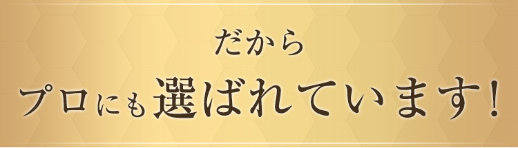 だからプロにも選ばれています!