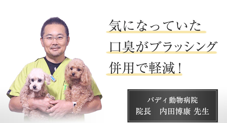 気になっていた口臭がブラッシング併用で軽減! バディ動物病院 院長 内田博康先生