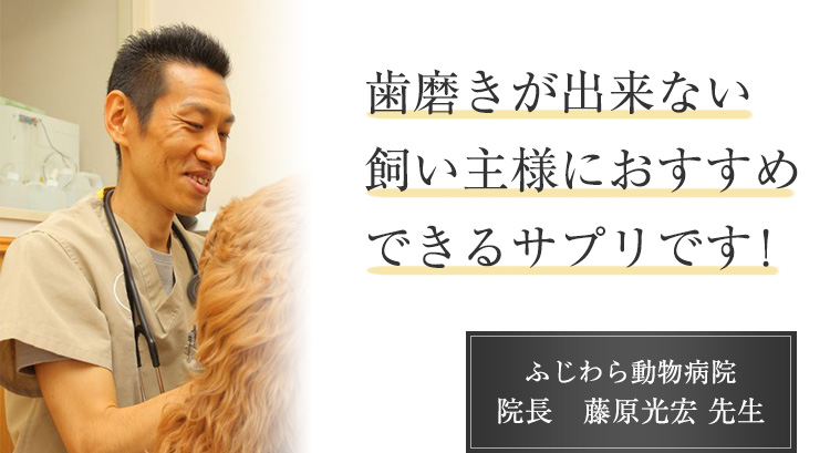 歯磨きが出来ない飼い主様におすすめできるサプリです! ふじわら動物病院 院長 藤原光宏先生