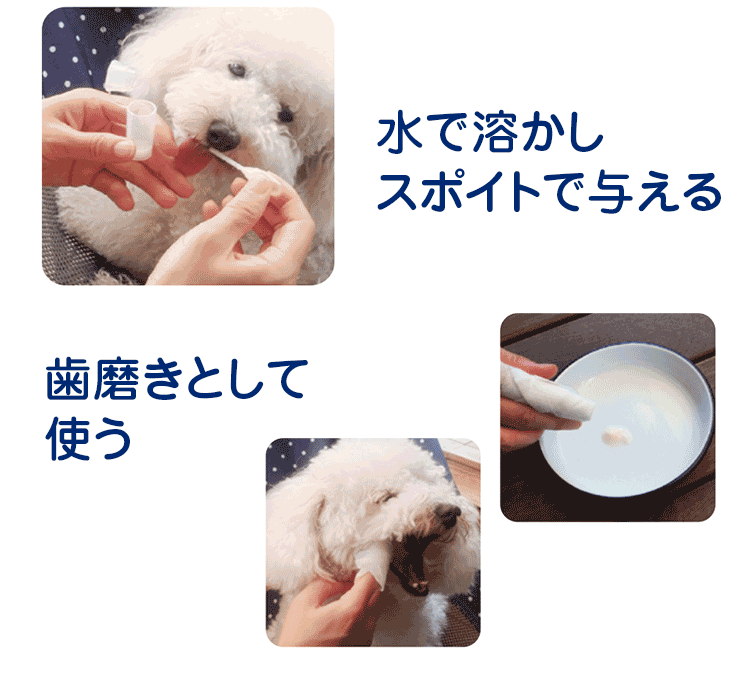 水で溶かしスポイトで与える 歯磨きとして使う