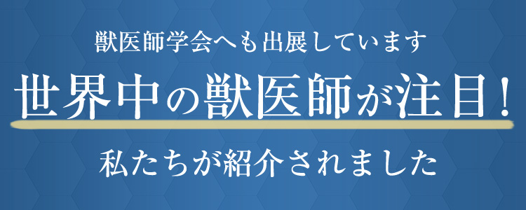 獣医師学会へも出展しています世界中の獣医師が注目!私たちが紹介されました