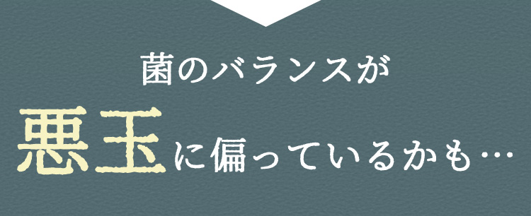 菌のバランスが悪玉に偏っているかも