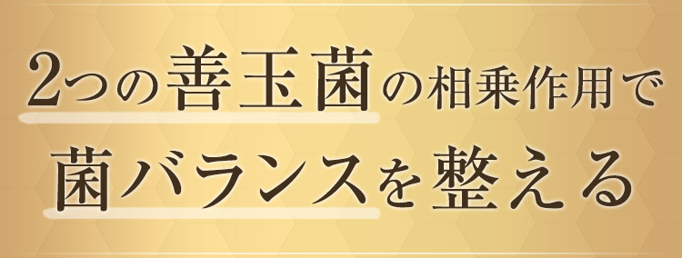 2つの善玉菌の相乗作用で菌バランスを整える