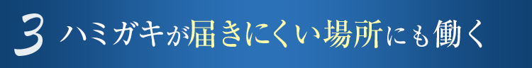 3 ハミガキが届きにくい場所にも働く