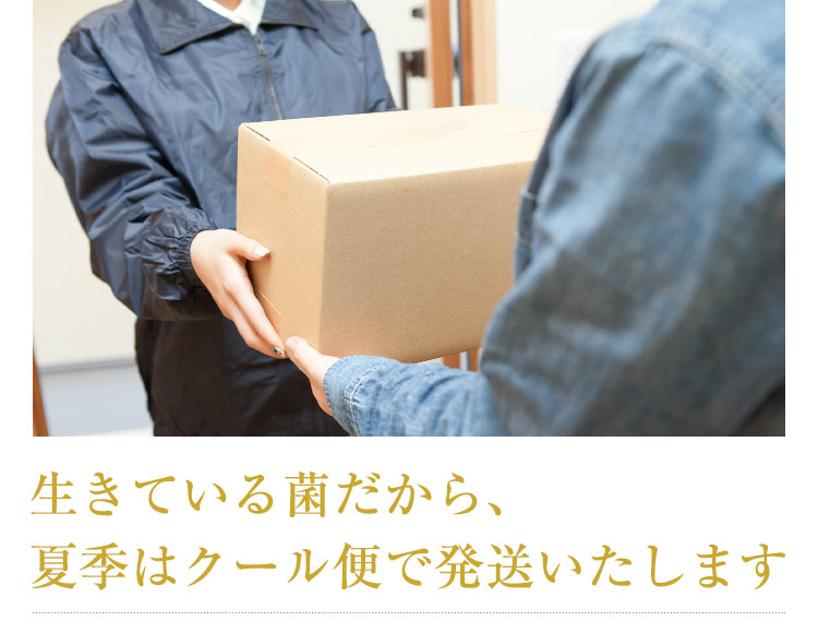 生きている菌だから、夏季はクール便で発送いたします