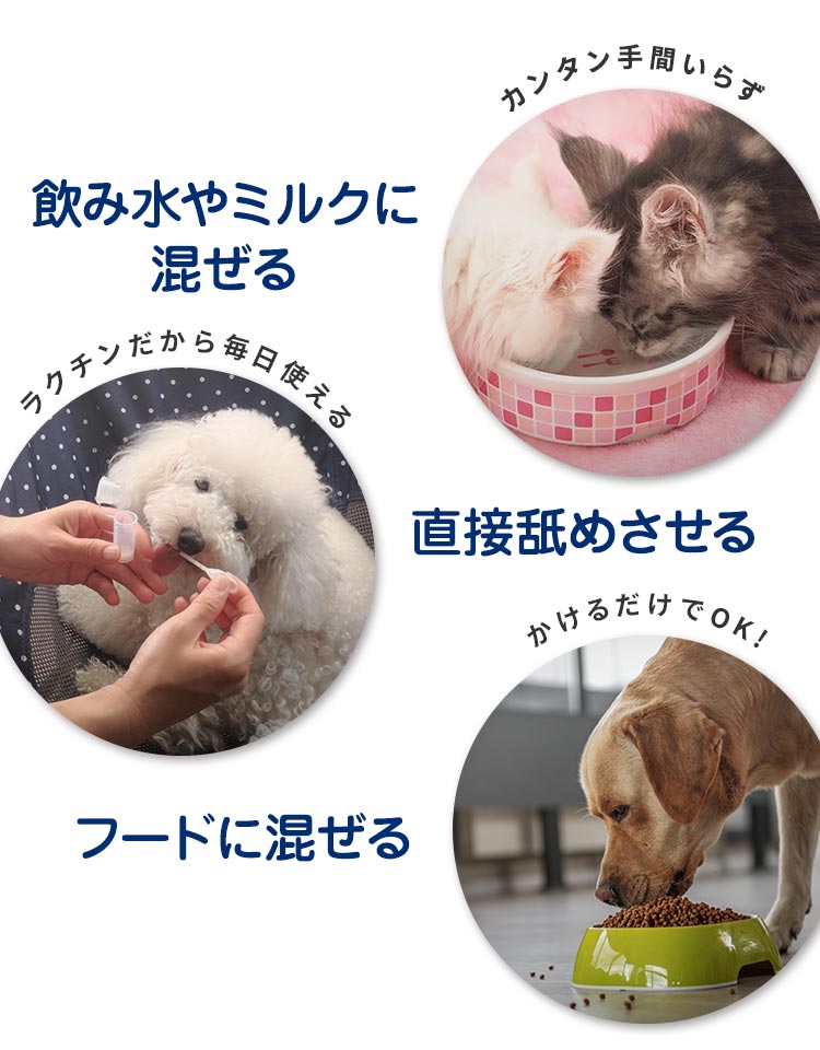 飲み水やミルクに混ぜる 直接舐めさせる フードに混ぜる