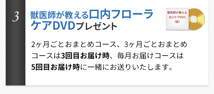獣医師が教える口内フローラケアDVDプレゼント