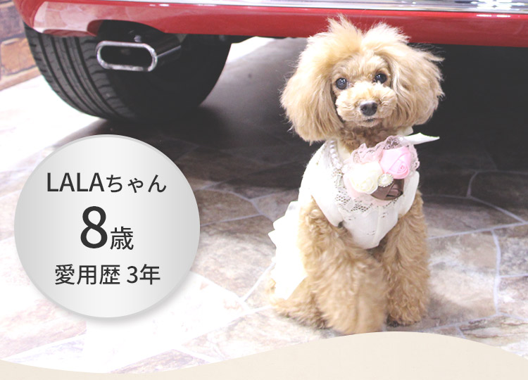 LALAちゃん 8歳 愛用歴 3年